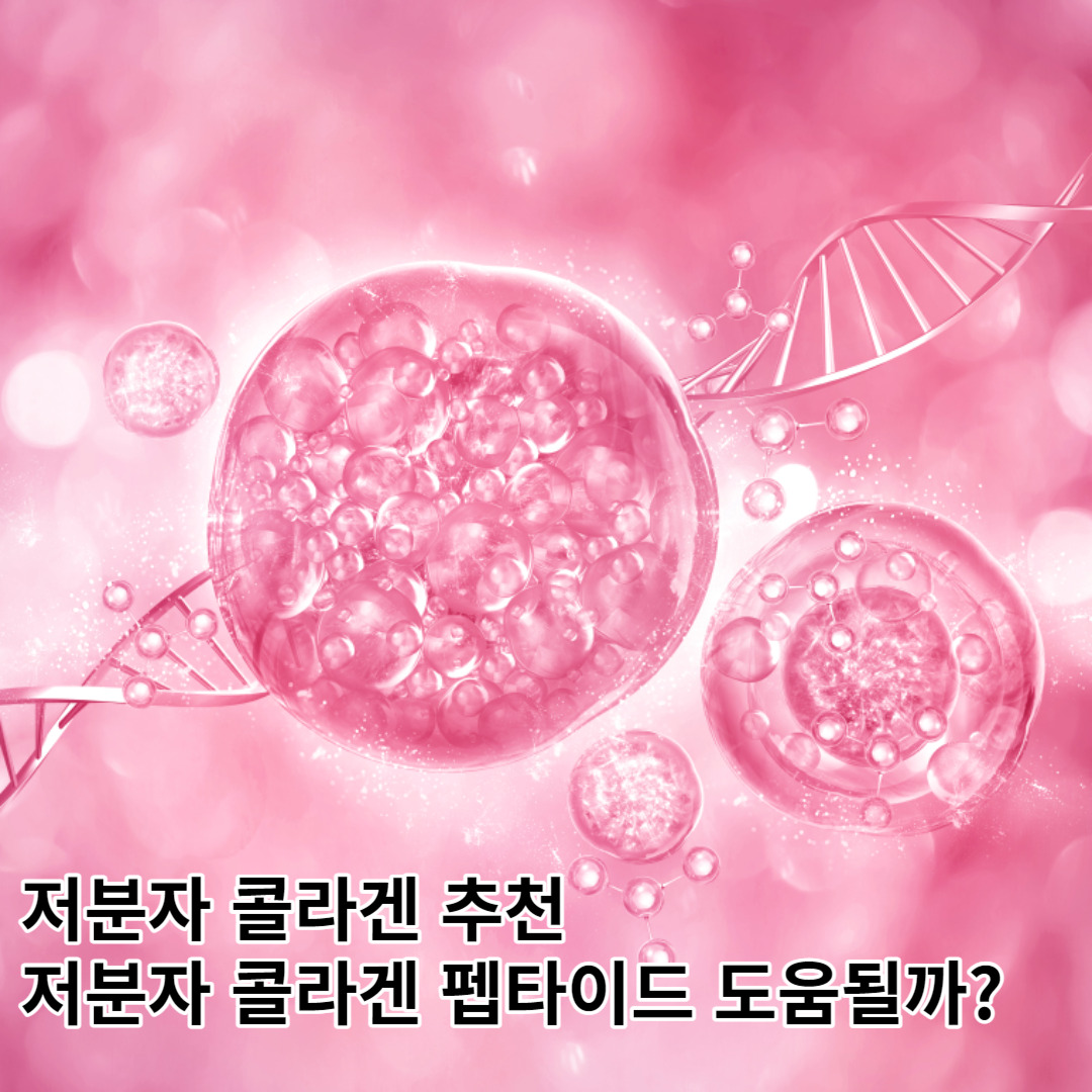 저분자 콜라겐 추천, 저분자 콜라겐 펩타이드 도움이 될까?